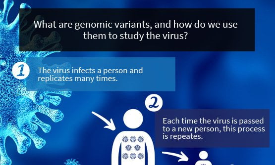 What are genomic variants and how do we use them to study the virus?