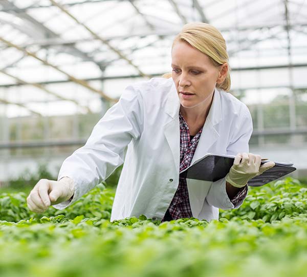 Woman in lab coat working in greenhouse.
